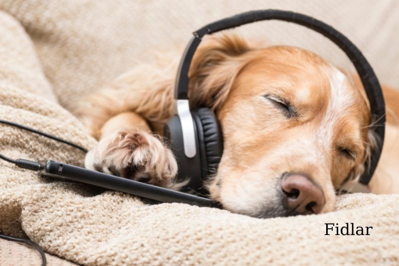Dog-soothing Music