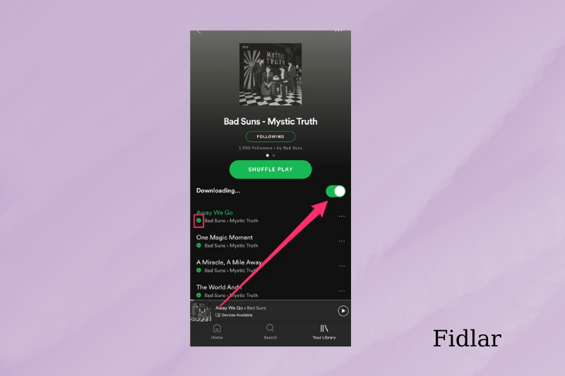 How to Download Spotify Music on iOS