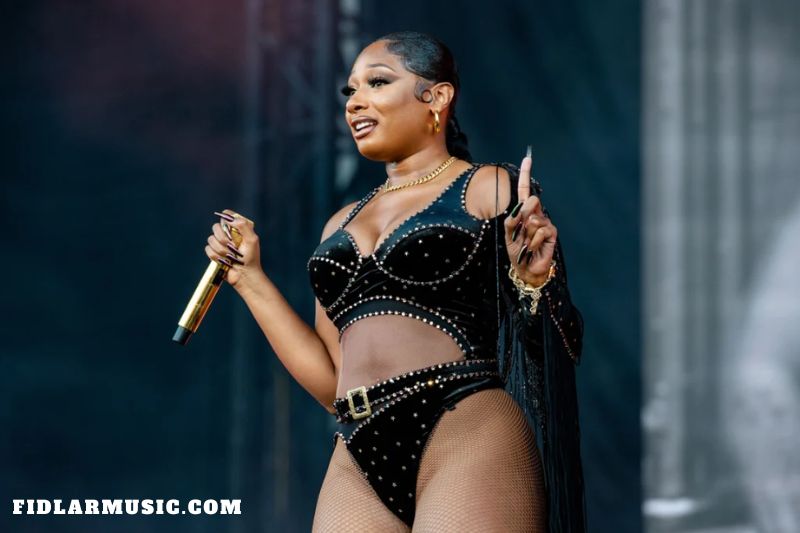 Megan Thee Stallion net worth Rapper shelled out 250K for Futures verse on Pressurelicious