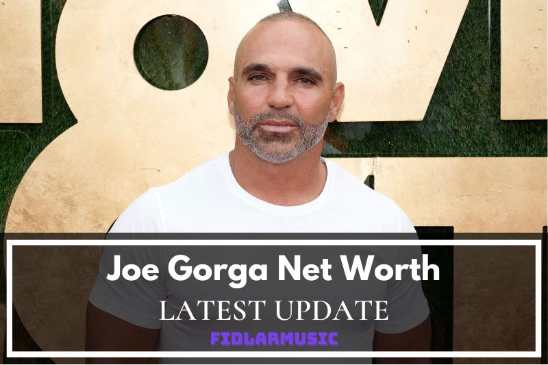 What is Joe Gorga Net Worth 2022 Overview, Interview
