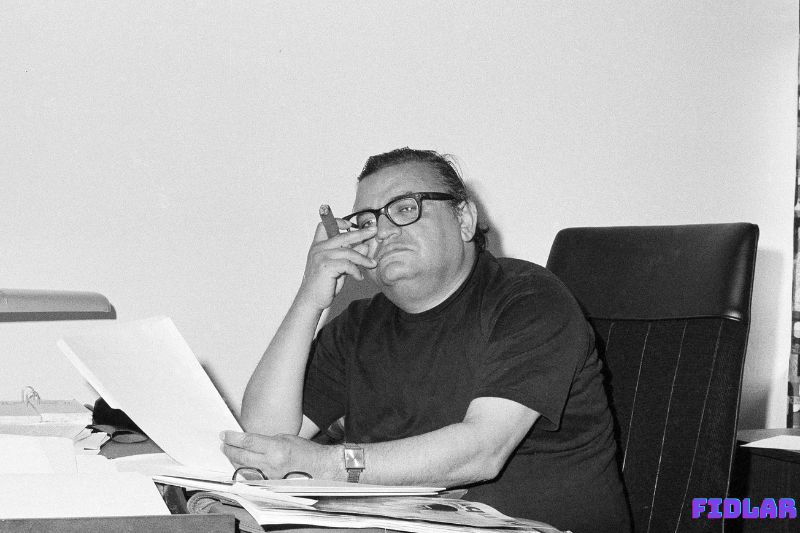 FAQs about Mario Puzo