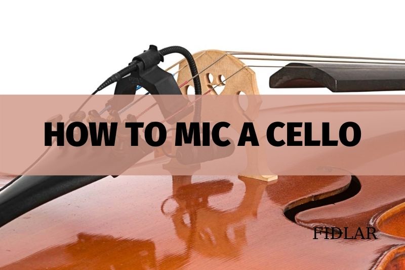 How To Mic A Cello Best Ultimate Guide You Need To Know 2023
