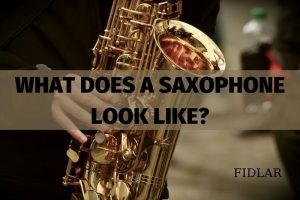 What Does A Saxophone Look Like And How Does It Cost Full Guide 2023